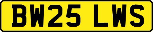 BW25LWS