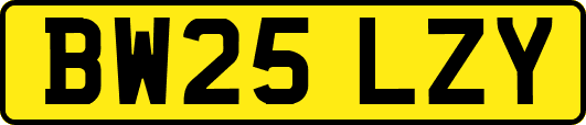 BW25LZY