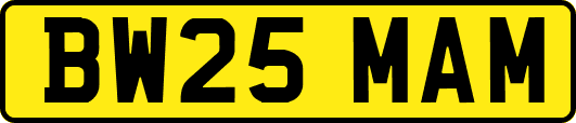 BW25MAM