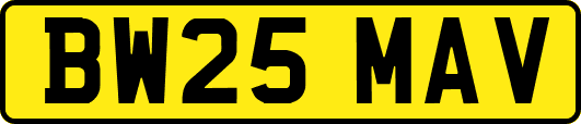 BW25MAV