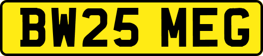 BW25MEG