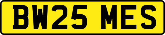 BW25MES