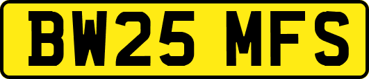 BW25MFS
