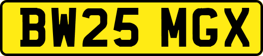 BW25MGX
