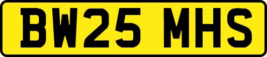 BW25MHS