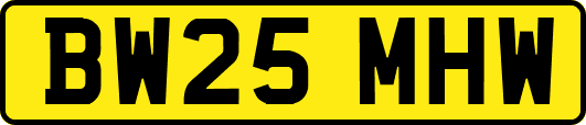 BW25MHW