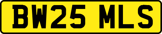 BW25MLS