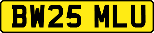 BW25MLU