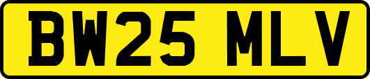 BW25MLV