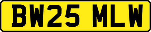 BW25MLW
