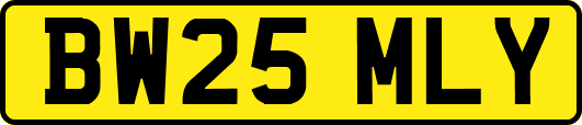 BW25MLY