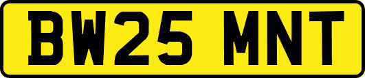 BW25MNT