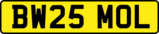 BW25MOL