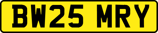 BW25MRY