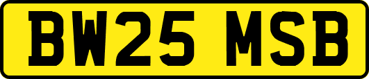 BW25MSB