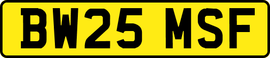 BW25MSF