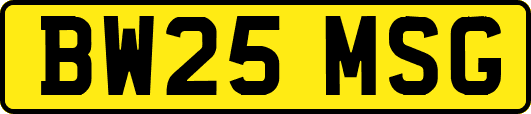 BW25MSG