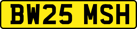 BW25MSH