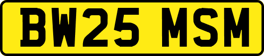BW25MSM