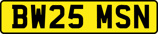BW25MSN