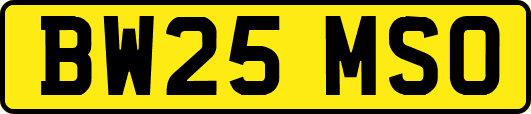 BW25MSO
