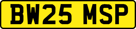 BW25MSP