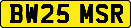 BW25MSR