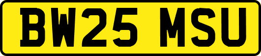 BW25MSU