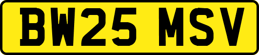 BW25MSV
