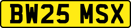 BW25MSX