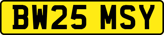 BW25MSY