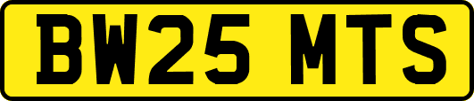 BW25MTS