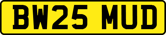 BW25MUD