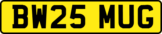 BW25MUG