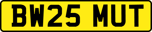 BW25MUT