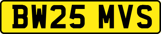 BW25MVS