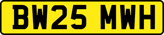 BW25MWH