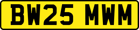 BW25MWM