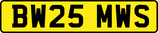 BW25MWS