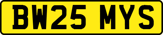 BW25MYS
