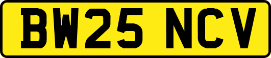 BW25NCV