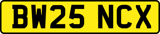 BW25NCX