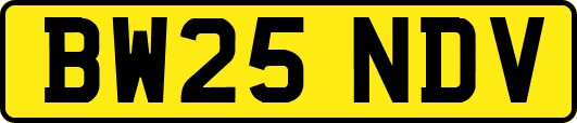 BW25NDV