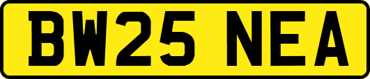 BW25NEA