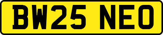BW25NEO