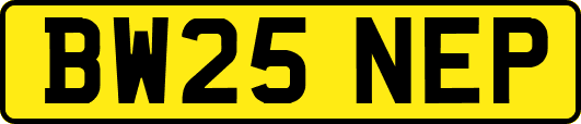 BW25NEP