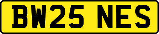 BW25NES