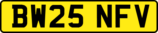 BW25NFV