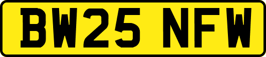 BW25NFW