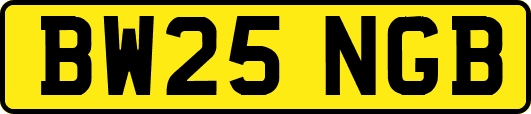BW25NGB
